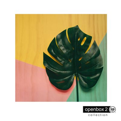 Quadro-Wood-Print-40X40-Fundo-Colorido-Folha-Verde
