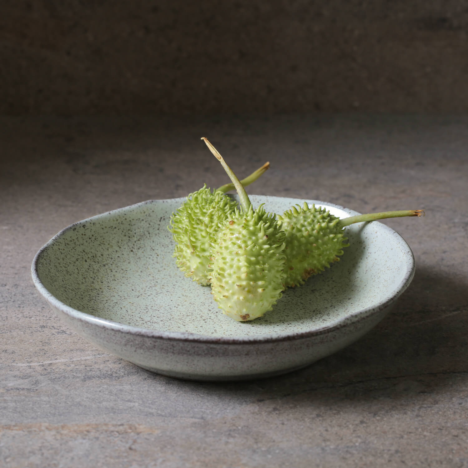 Conjunto com 6 Pratos Fundo Bio Pistache Ø22,5cm 830ml - Imagem 2