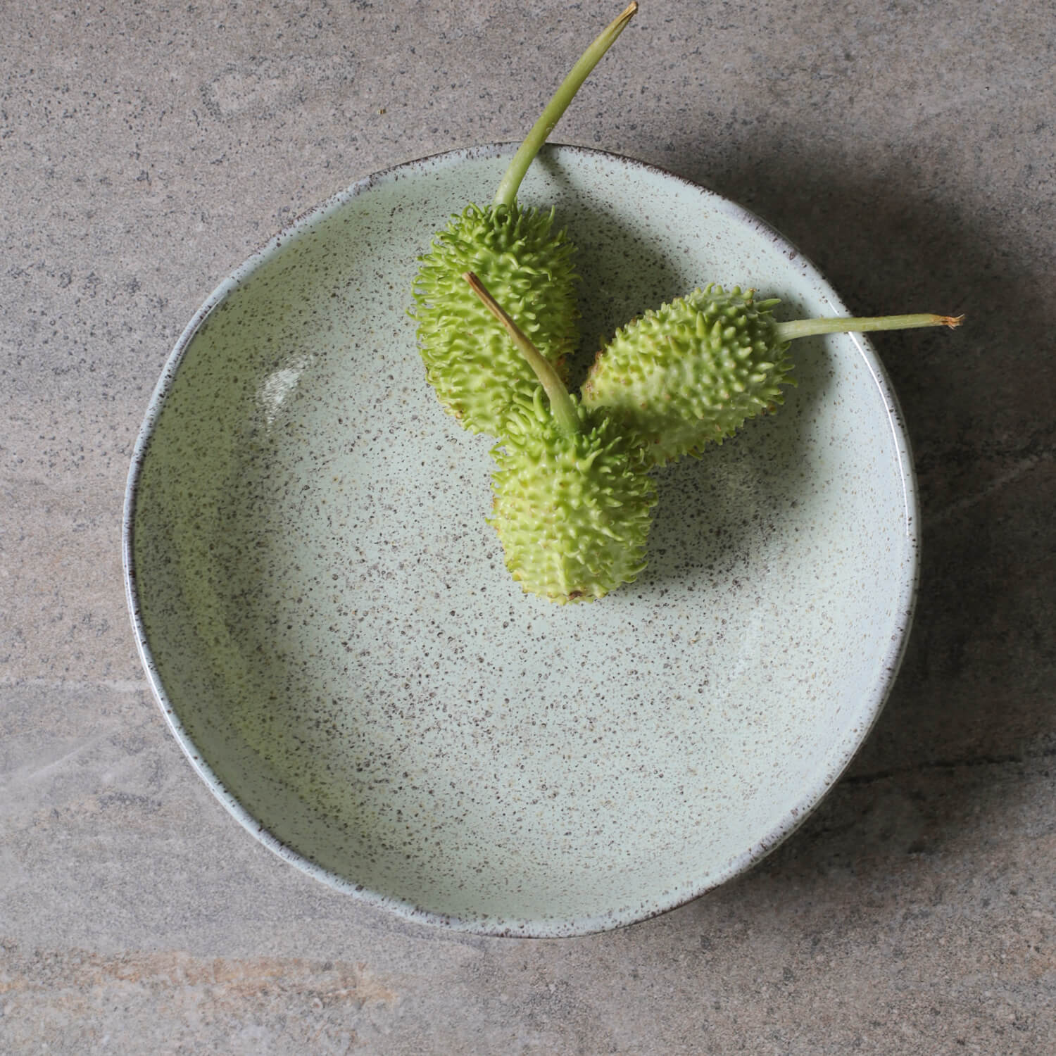 Conjunto com 6 Pratos Fundo Bio Pistache Ø22,5cm 830ml - Imagem 4