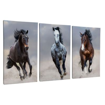 Quadro-Decorativo-3-Telas-Animais-Cavalos-Branco-Marrom-60x90-Moldura-Branca-com-vidro