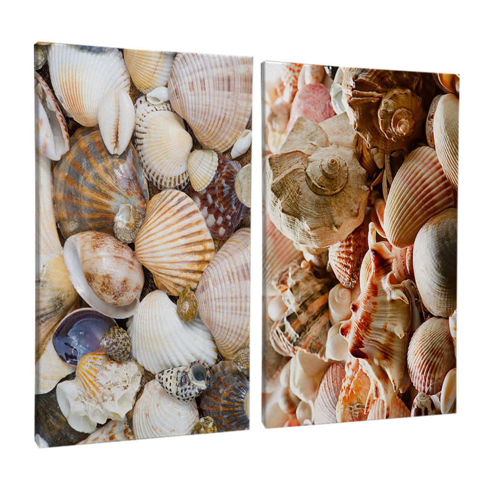Quadro Decorativo 2 Telas Conchas II 60x90 Moldura Preta com vidro - Imagem 2