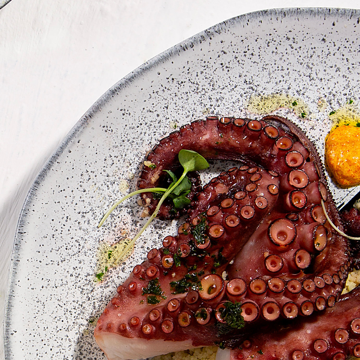 Conjunto com 6 Pratos Raso Orgânico Echo Ø26,5cm - Imagem 5