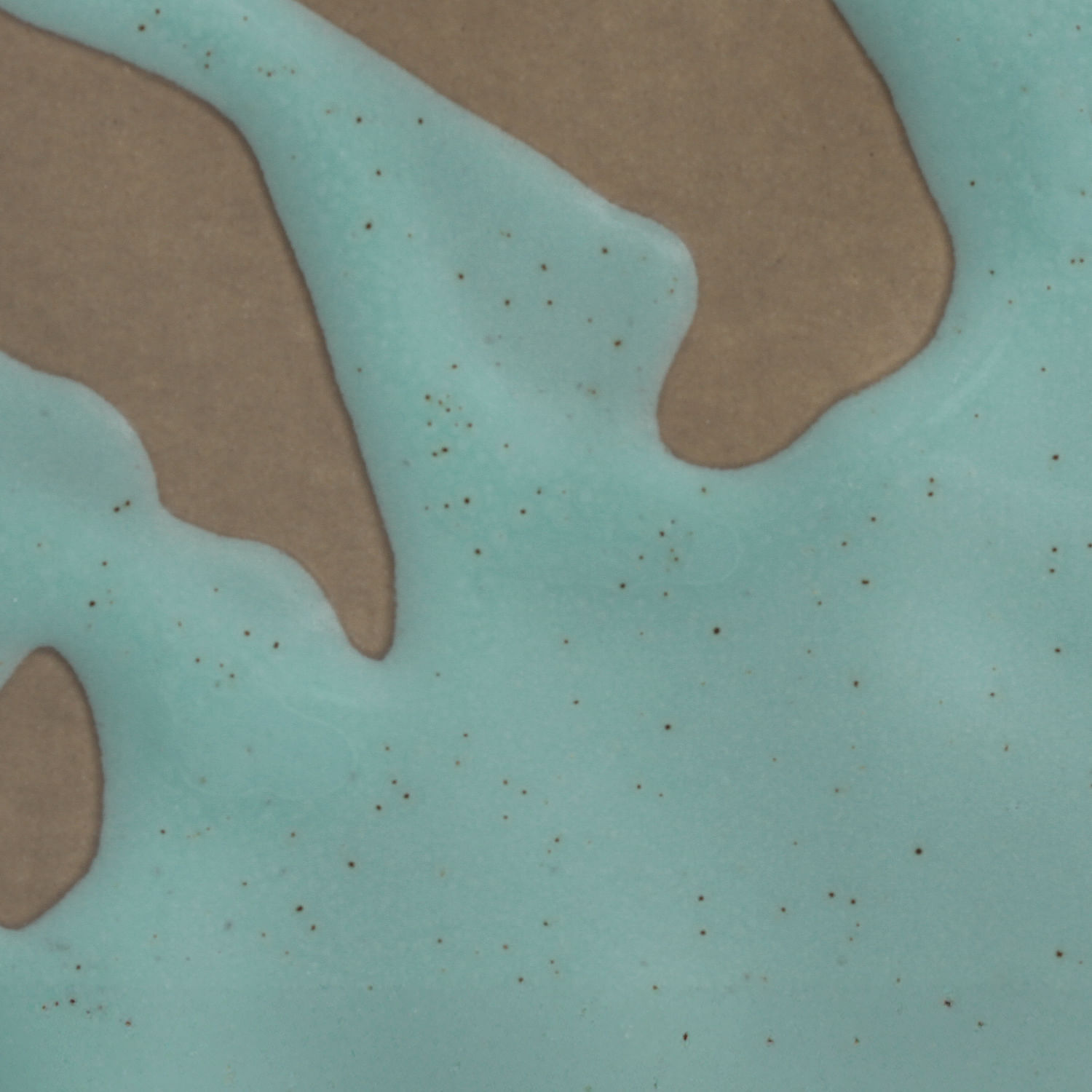 Conjunto com 4 Pratos Fundo Orgânico Eco Atlântica Ø21,5cm - Imagem 4