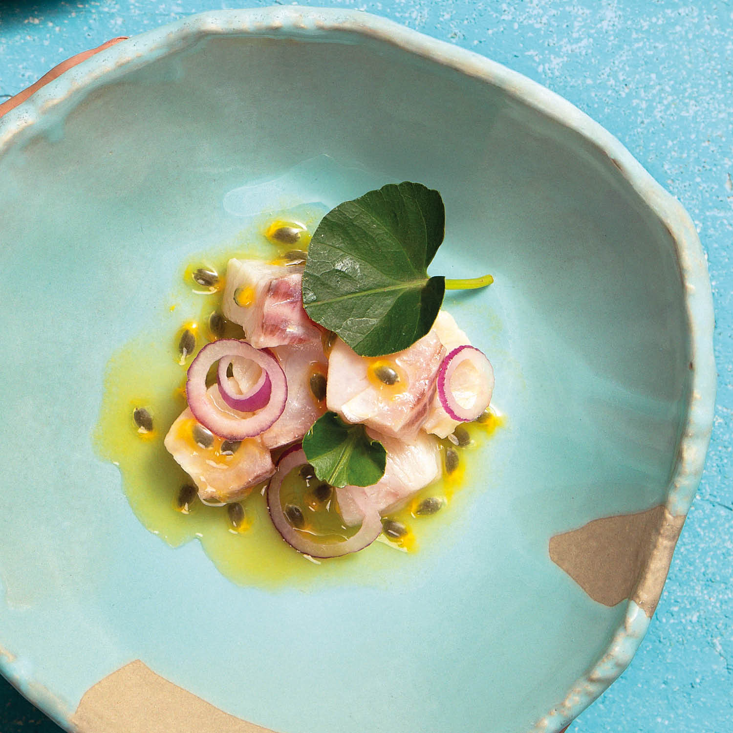 Conjunto com 4 Pratos Fundo Orgânico Eco Atlântica Ø21,5cm - Imagem 3