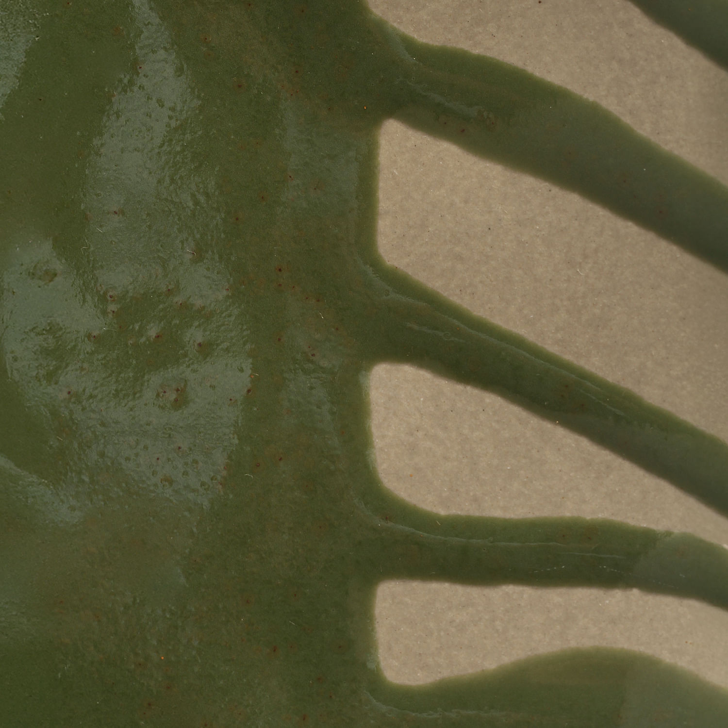 Conjunto com 4 Pratos Fundo Orgânico Eco Amazônia Ø21,5cm - Imagem 6