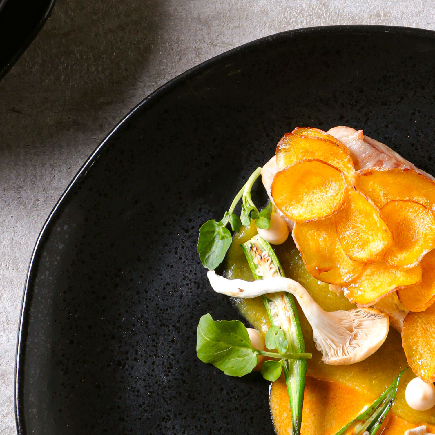 Conjunto com 6 Pratos Raso Orgânico Eclipse Ø26,5cm - Imagem 6