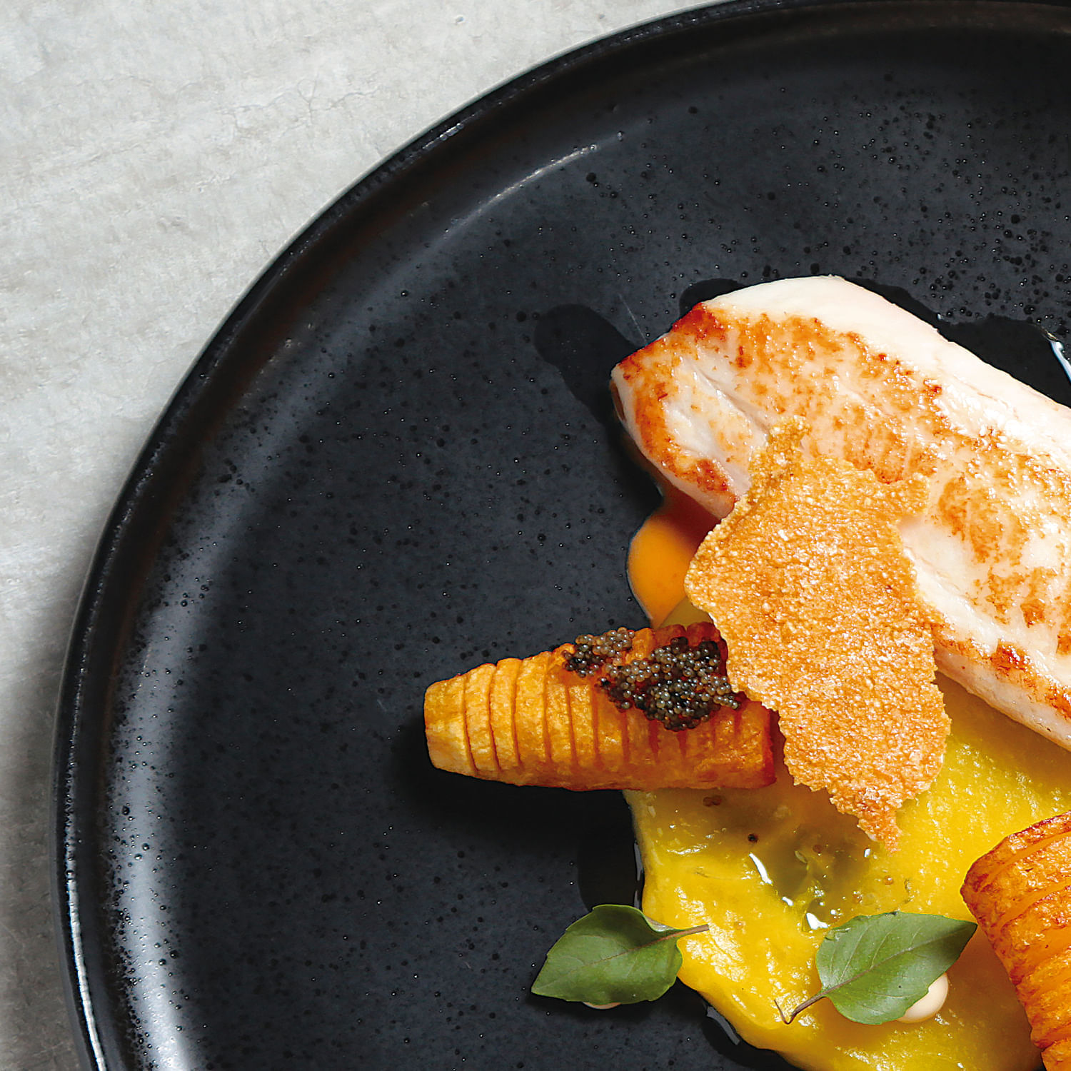 Conjunto com 6 Pratos Raso Bio Eclipse Ø29cm - Imagem 6