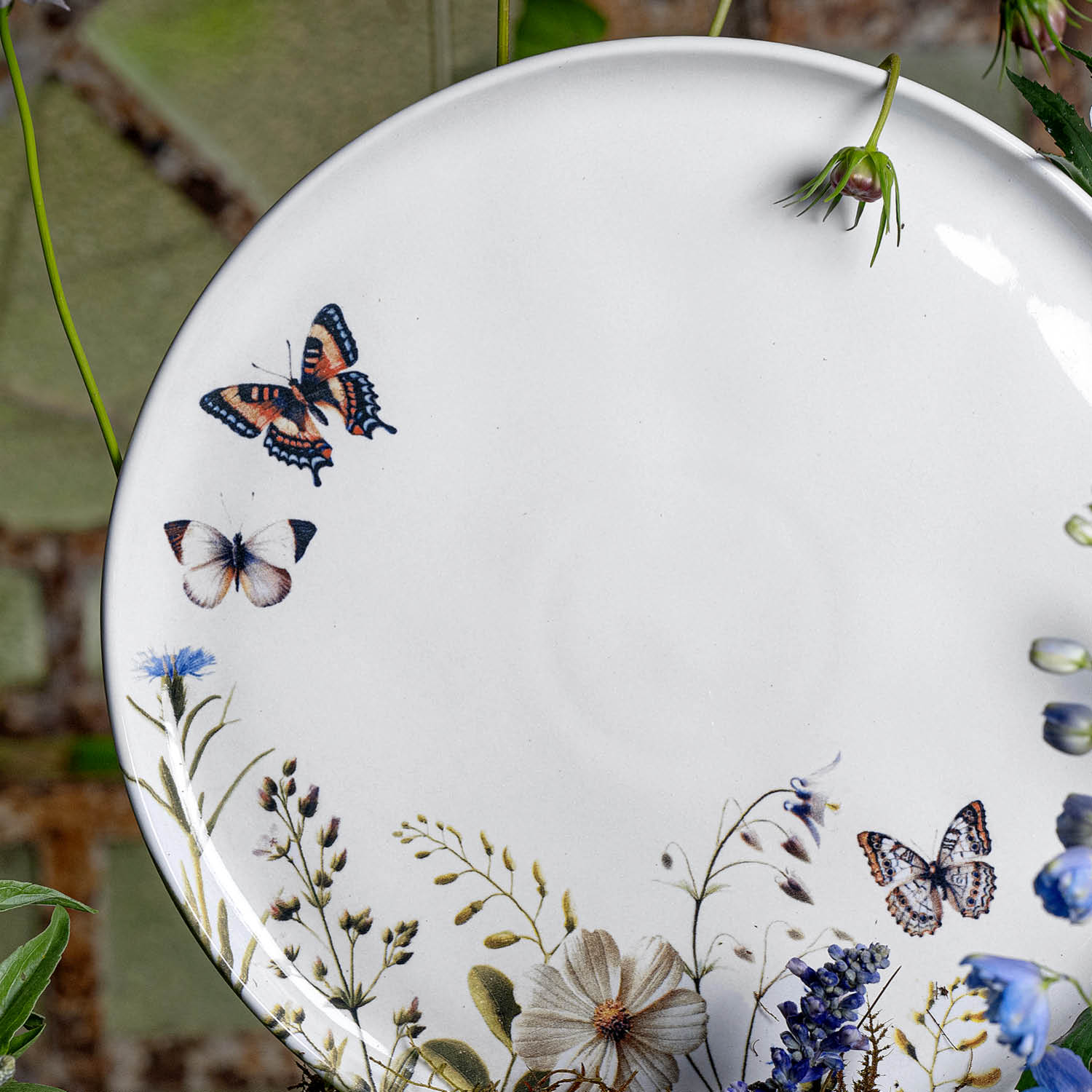 Conjunto com 6 Pratos Raso Bio Encanto - Imagem 4