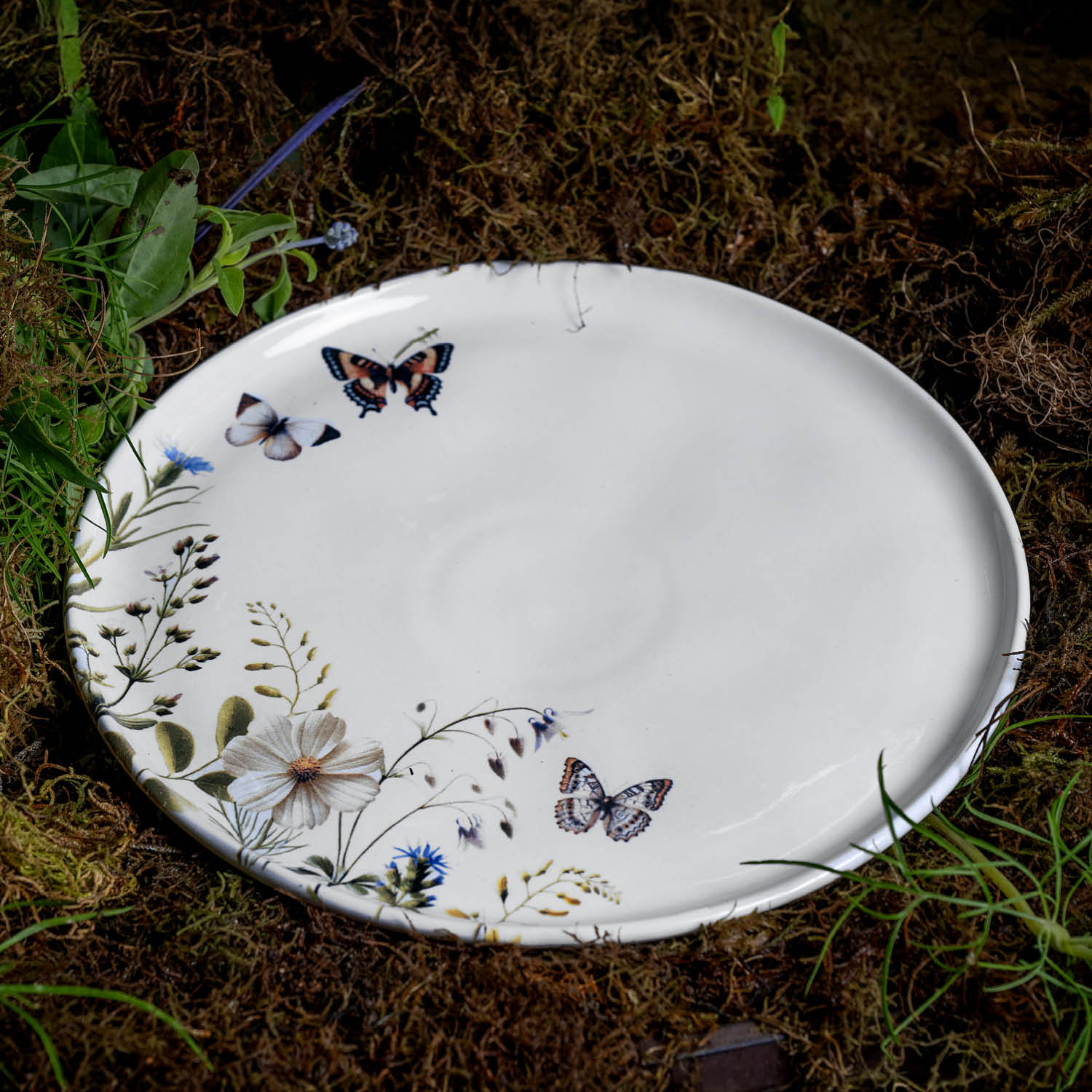 Conjunto com 6 Pratos Raso Bio Encanto - Imagem 3