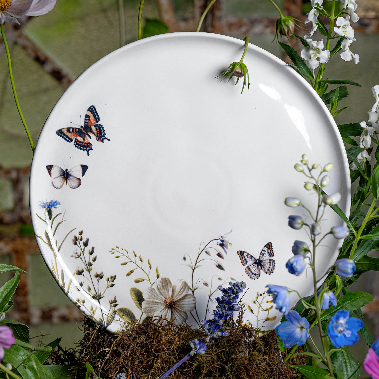 Conjunto com 6 Pratos Raso Bio Encanto - Imagem 2