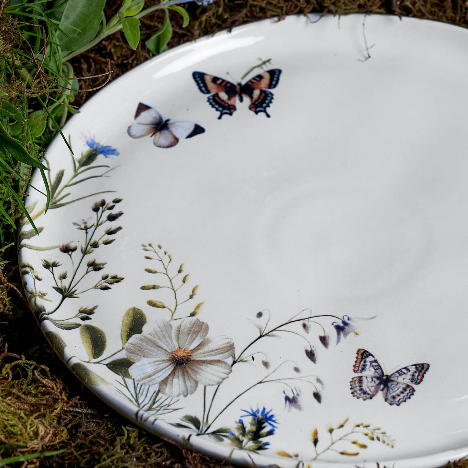 Conjunto com 6 Pratos Raso Bio Encanto - Imagem 5