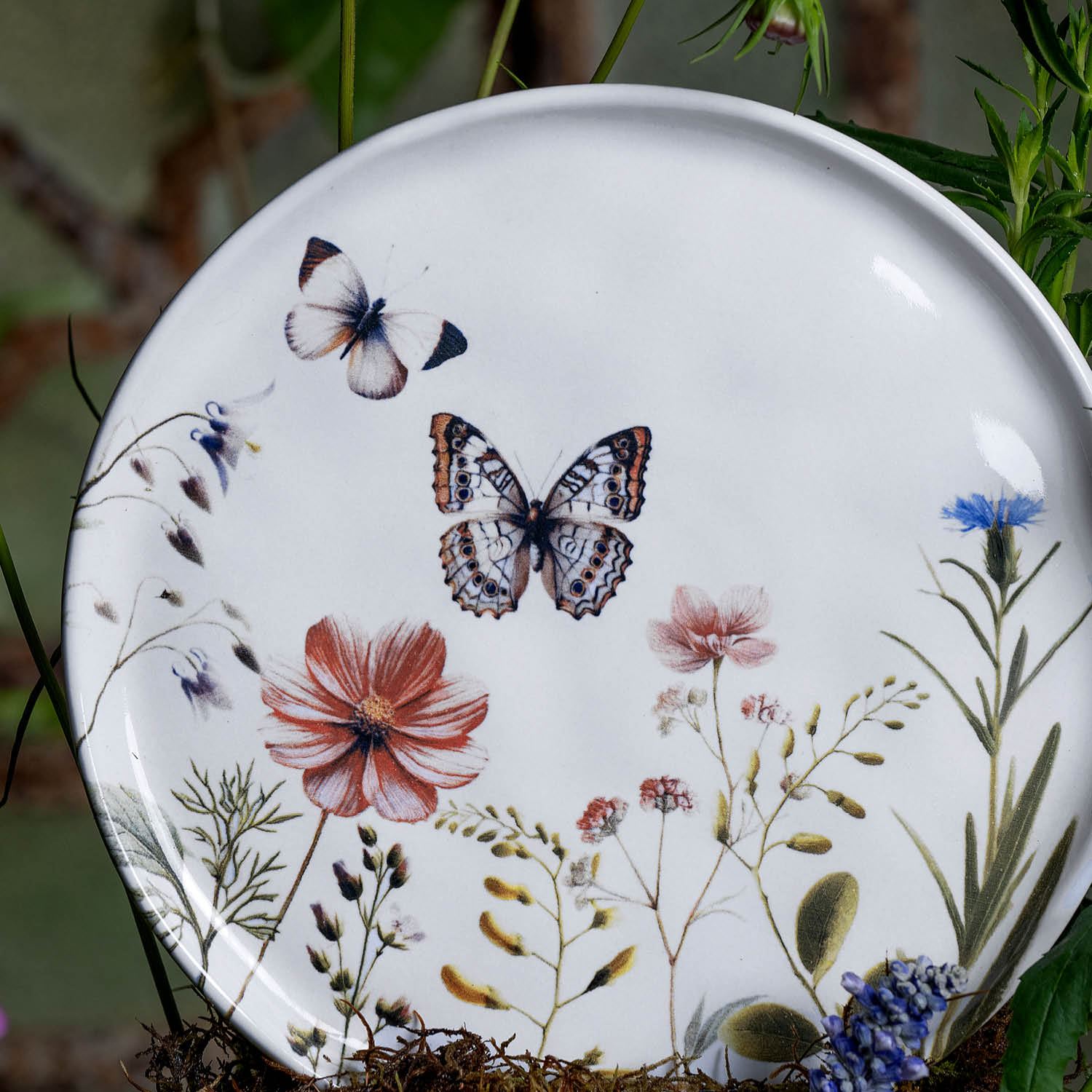 Conjunto com 6 Pratos De Sobremesa Bio Encanto - Imagem 4