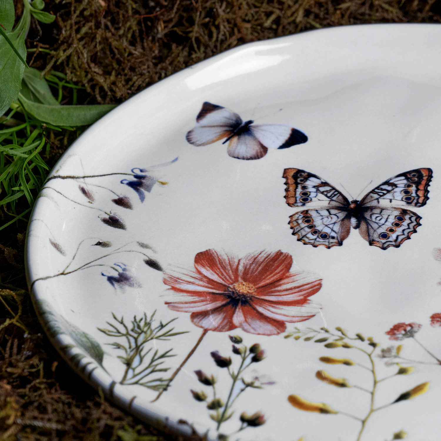 Conjunto com 6 Pratos De Sobremesa Bio Encanto - Imagem 5