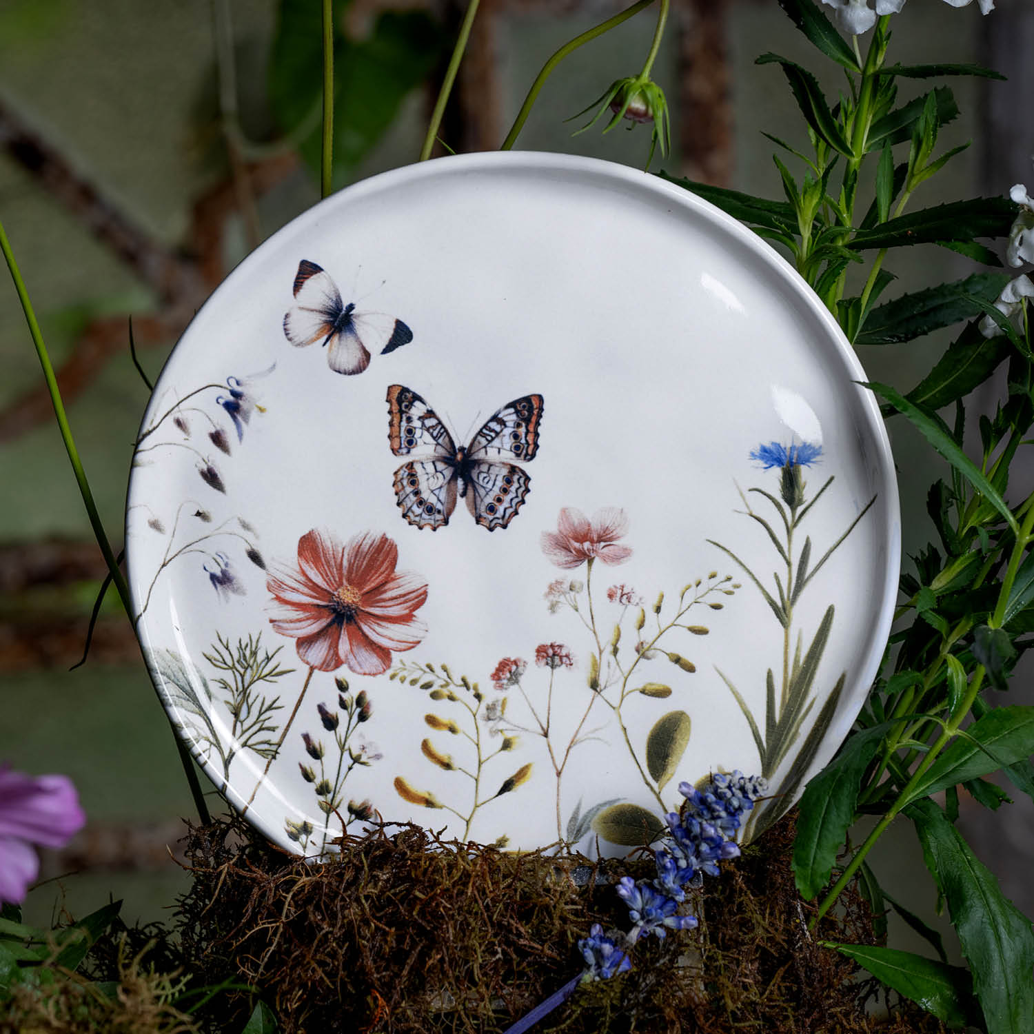 Conjunto com 6 Pratos De Sobremesa Bio Encanto - Imagem 2