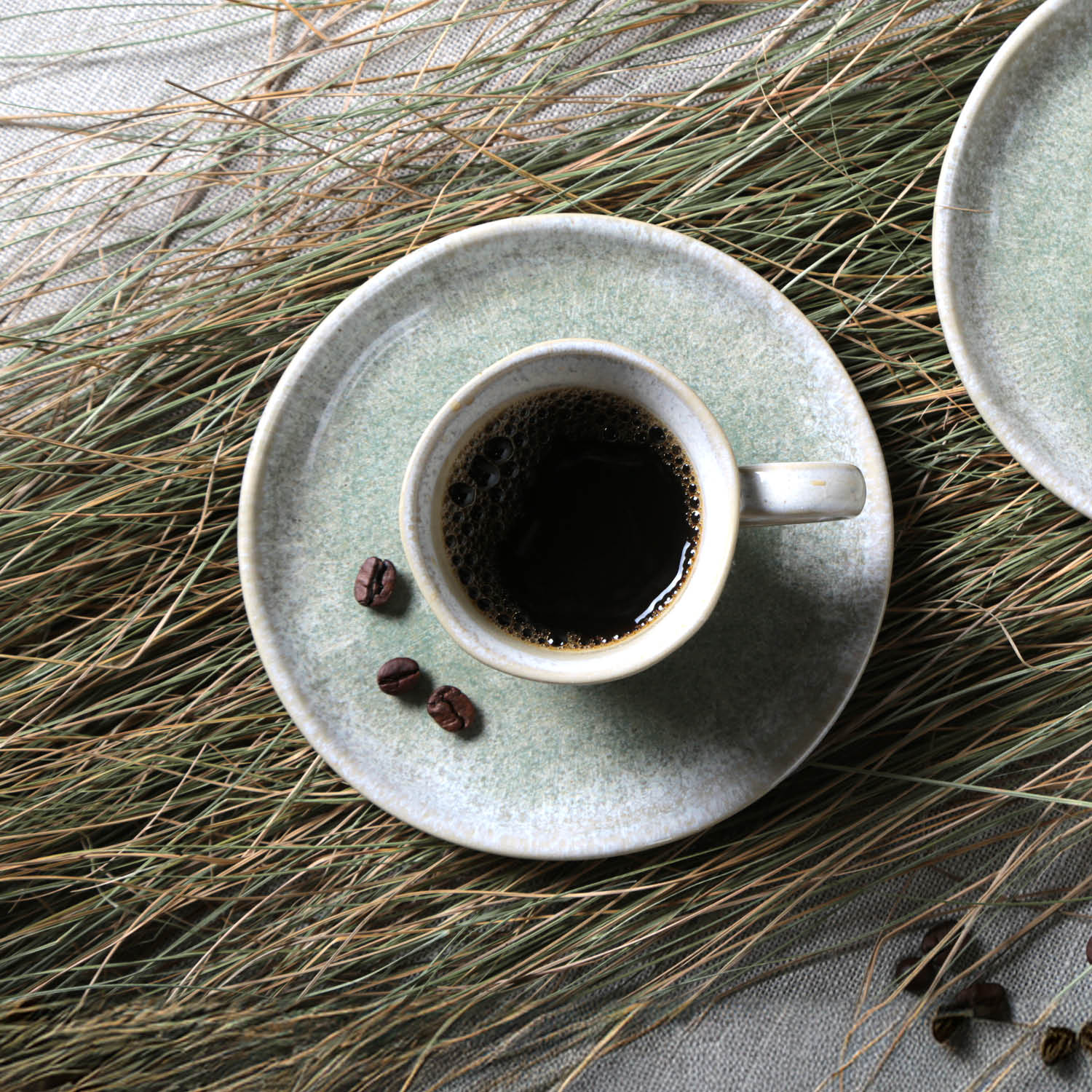 Conjunto com 6 Xícaras De Café com 6 Pires Bio Moss - Imagem 3