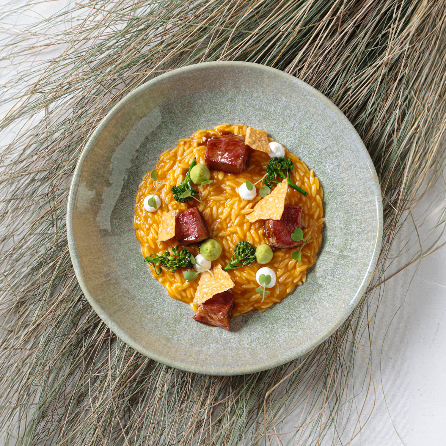 Conjunto com 6 Pratos Fundo Bio Moss - Imagem 3