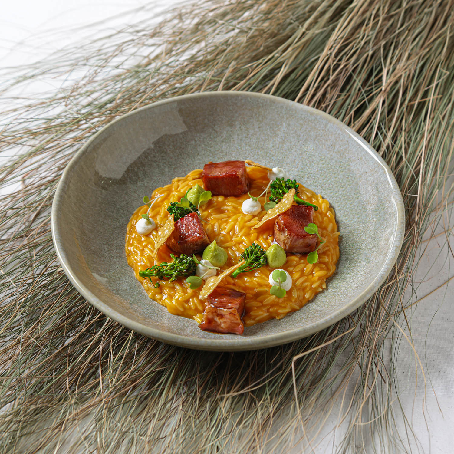 Conjunto com 6 Pratos Fundo Bio Moss - Imagem 2