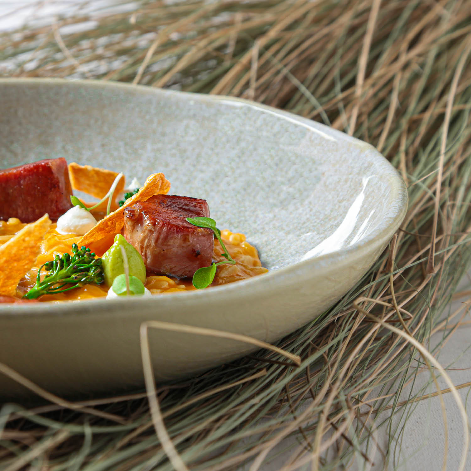 Conjunto com 6 Pratos Fundo Bio Moss - Imagem 5