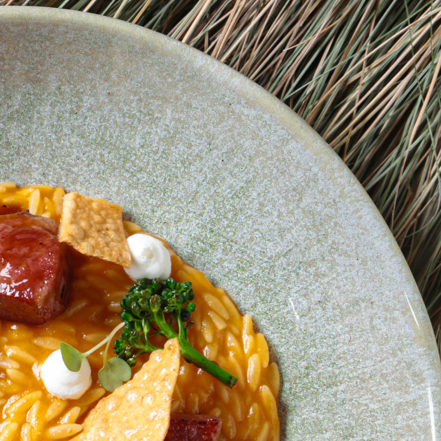 Conjunto com 6 Pratos Fundo Bio Moss - Imagem 6