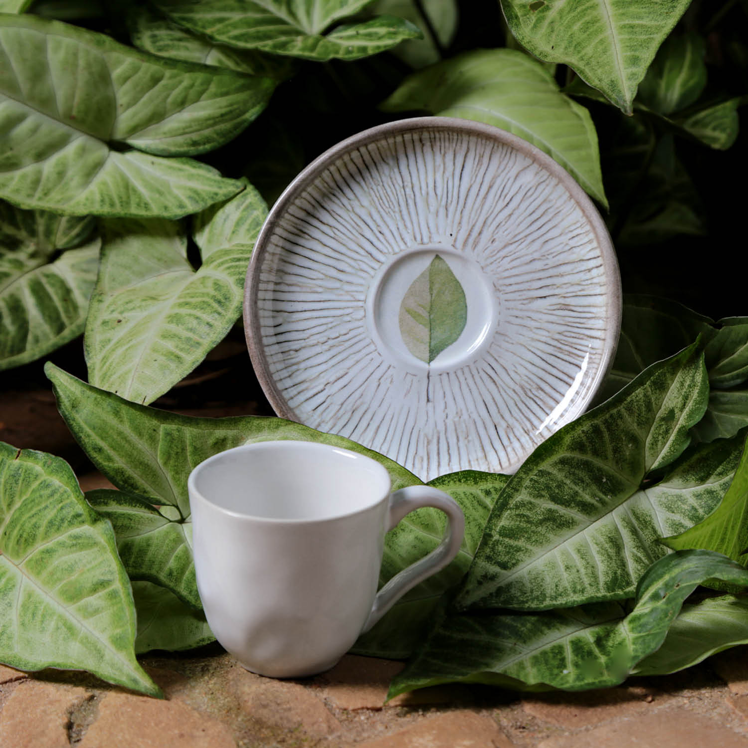 Conjunto com 6 Xícaras De Café com 6 Pires Bio Evergreen - Imagem 2