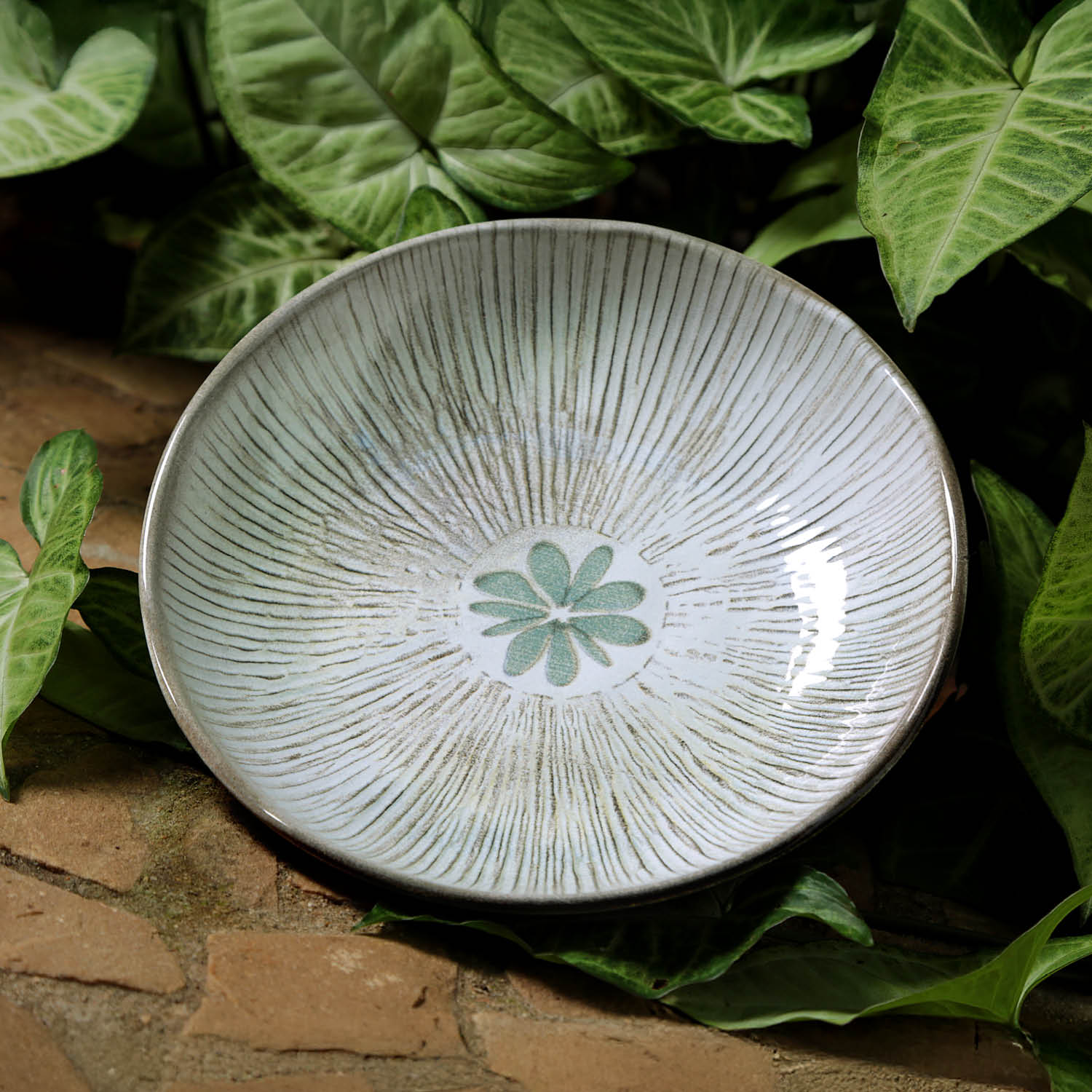 Conjunto com 6 Pratos Fundo Bio Evergreen - Imagem 3