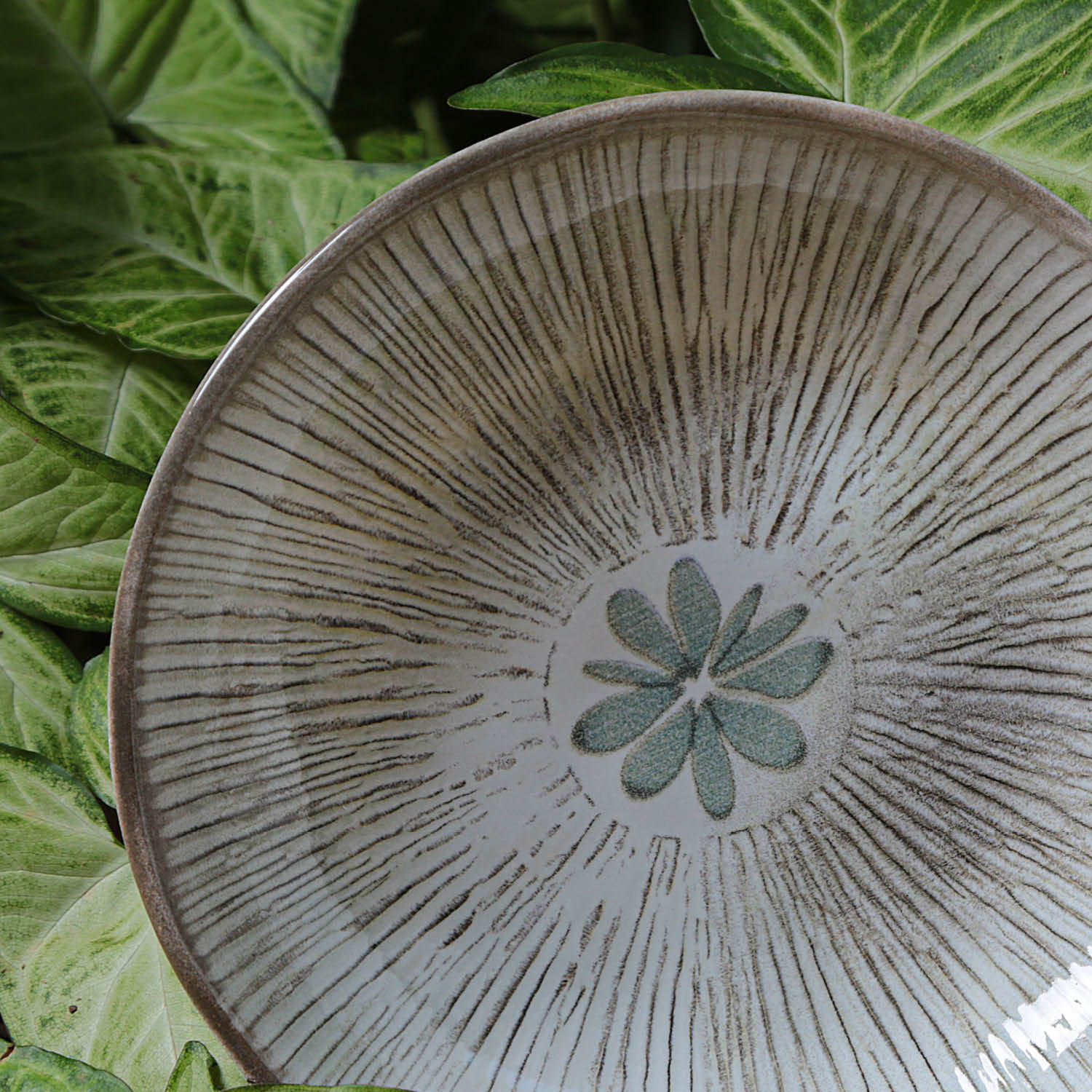 Conjunto com 6 Pratos Fundo Bio Evergreen - Imagem 4