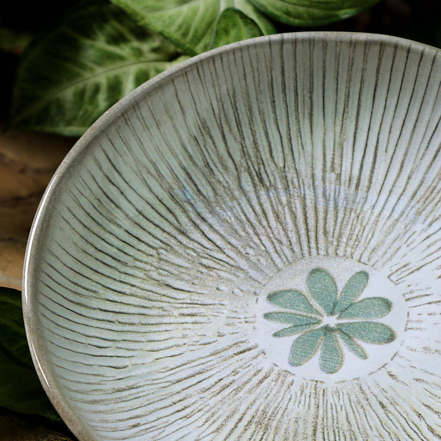 Conjunto com 6 Pratos Fundo Bio Evergreen - Imagem 5