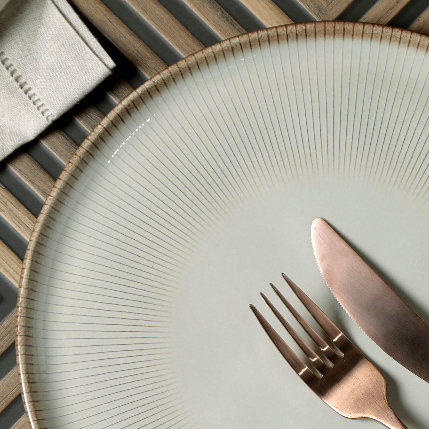 Conjunto com 6 Pratos Raso Bio Raio - Imagem 5