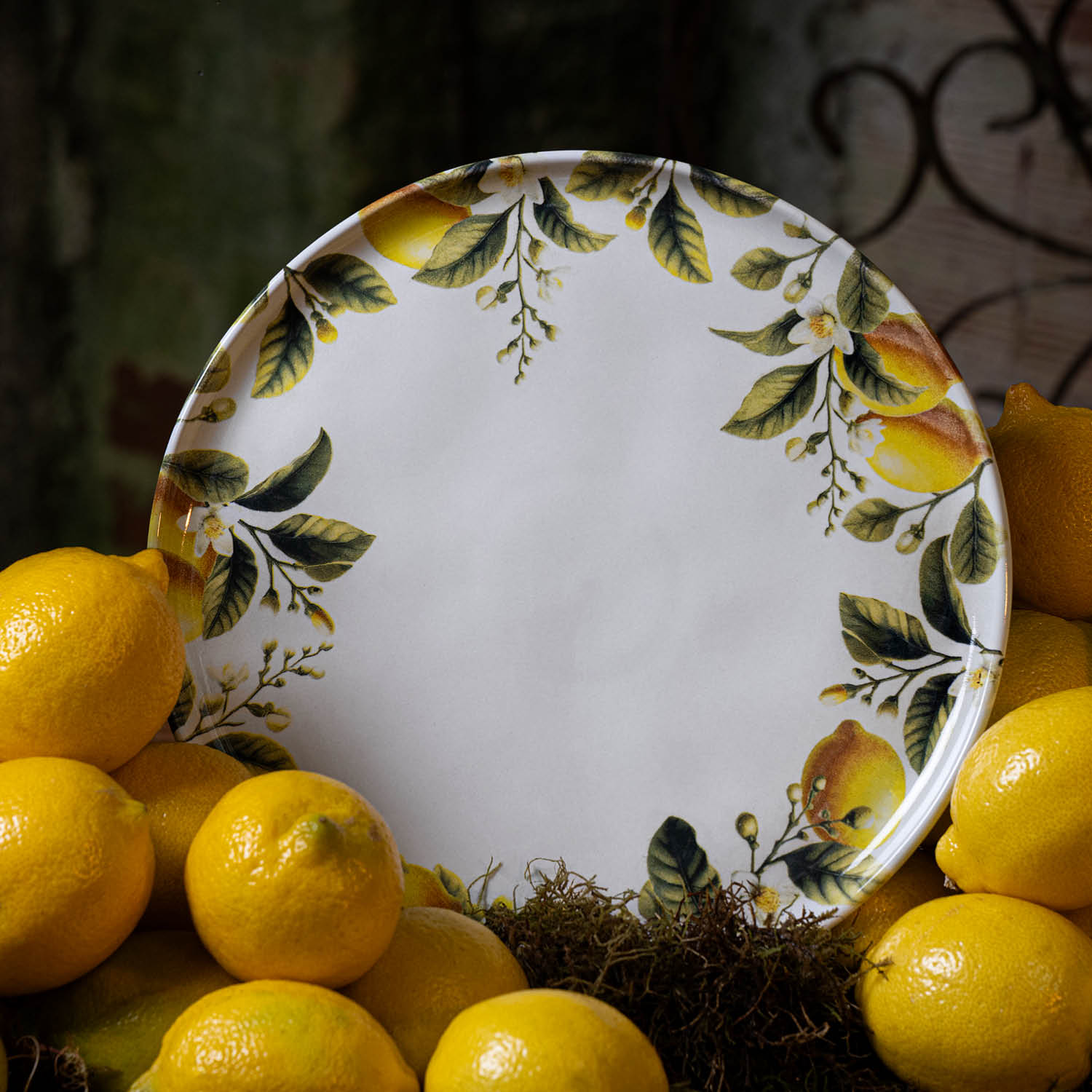 Conjunto com 6 Pratos Raso Bio Limonata - Imagem 2