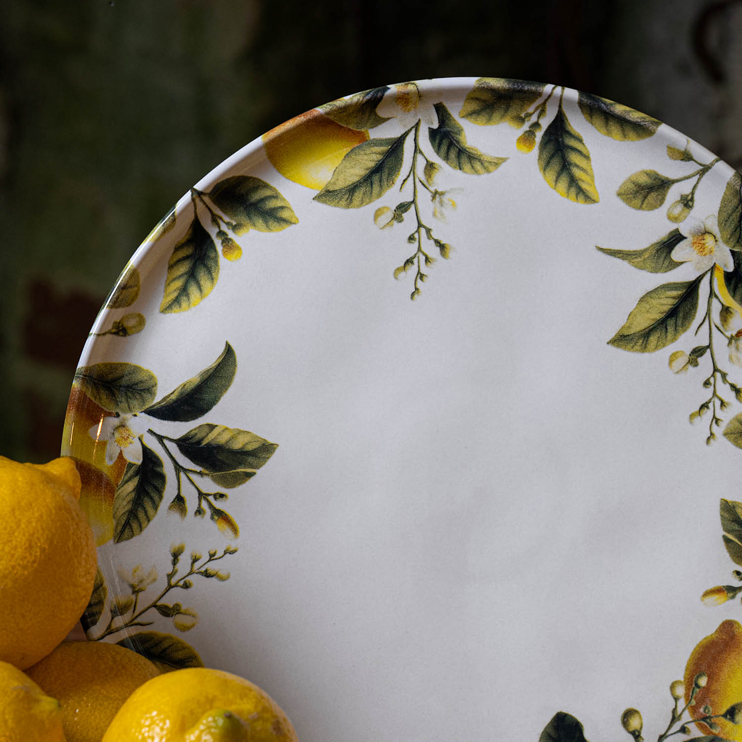 Conjunto com 6 Pratos Raso Bio Limonata - Imagem 5