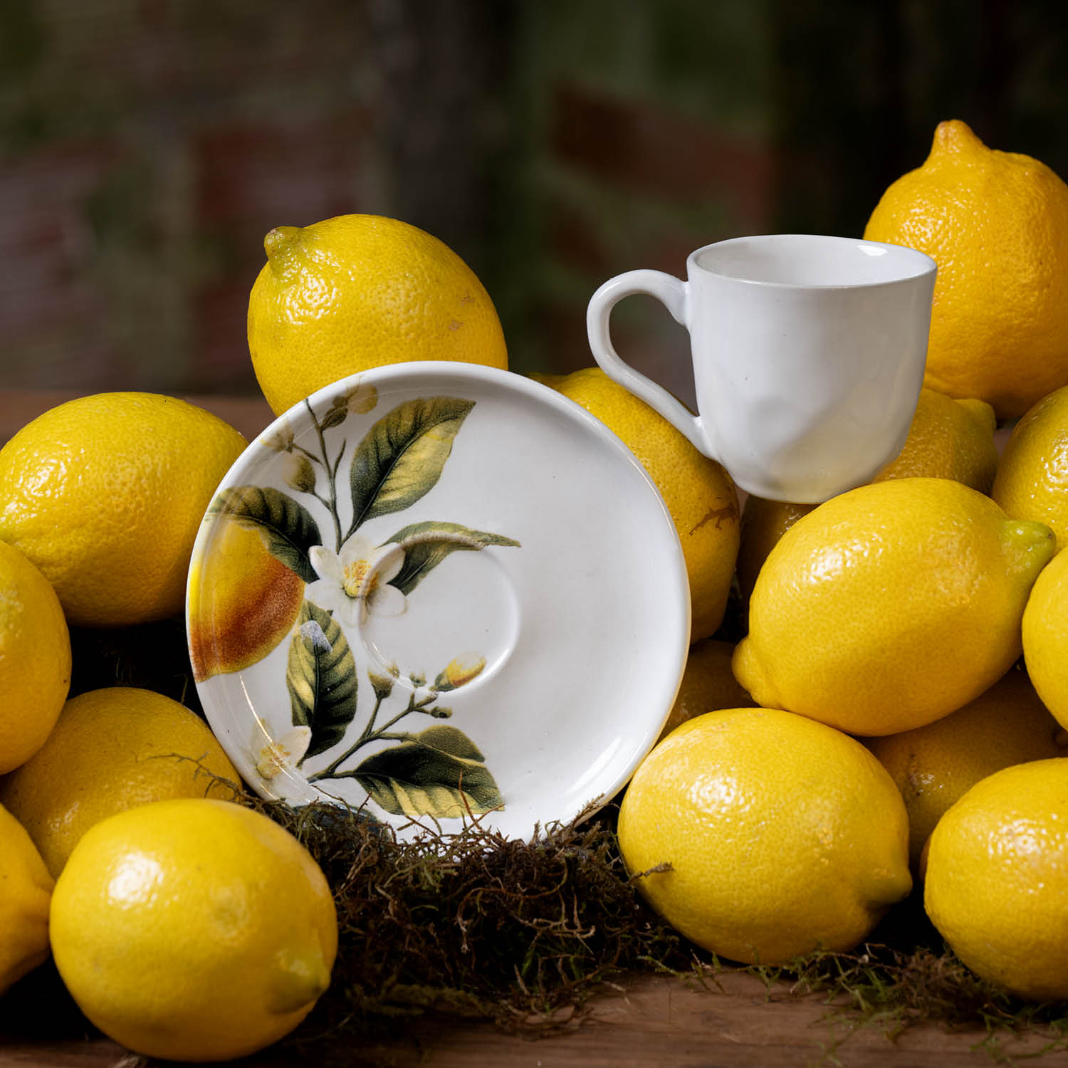 Conjunto com 6 Xícaras De Café com 6 Pires Bio Limonata - Imagem 2