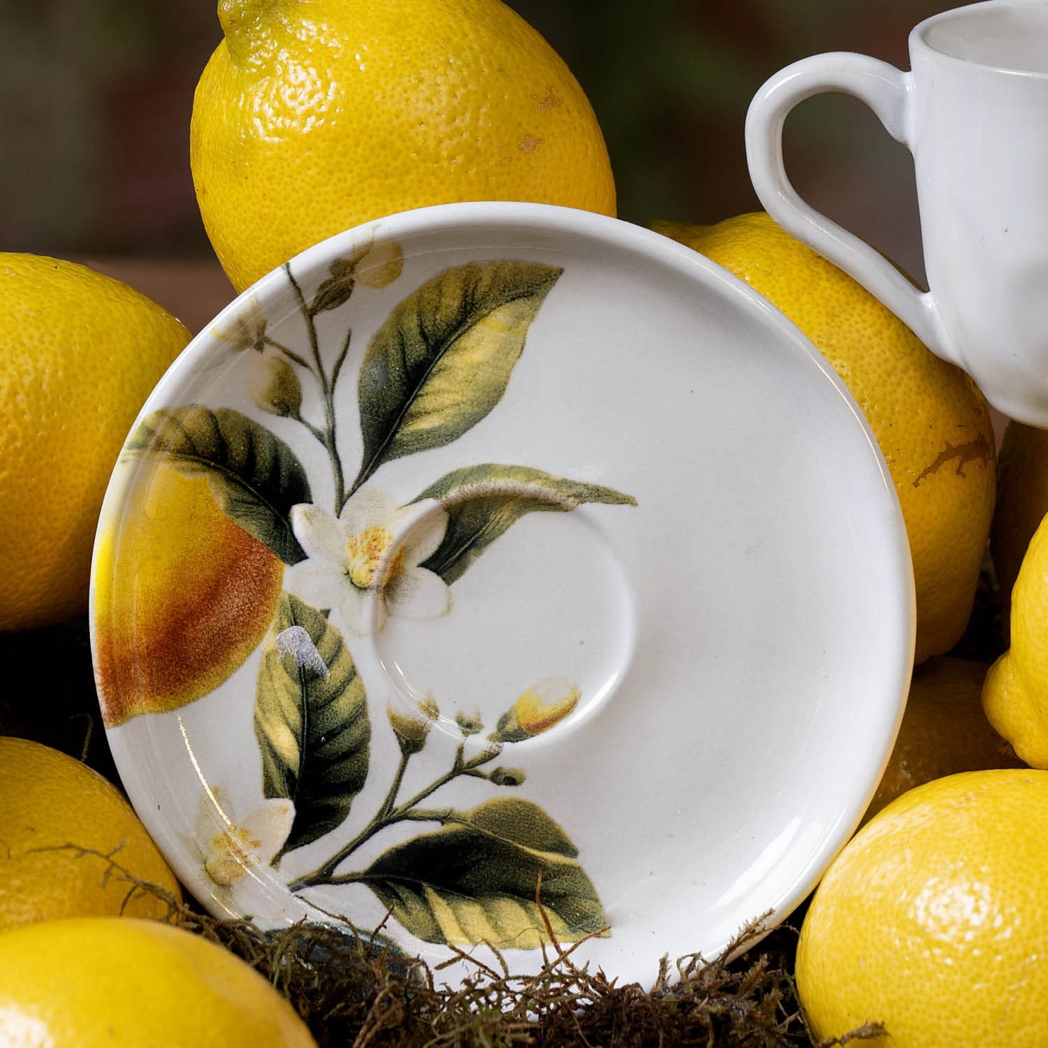 Conjunto com 6 Xícaras De Café com 6 Pires Bio Limonata - Imagem 6
