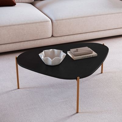 Mesa-de-Centro-Organica-Pe-Metal-Nero-Dourado-