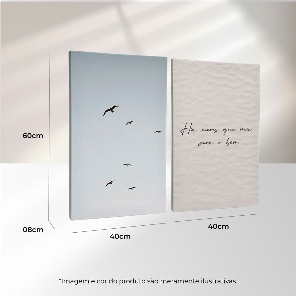Quadro Decorativo 2 Telas Marítimo Pássaros 40X60 Moldura Preto sem vidro - Imagem 3