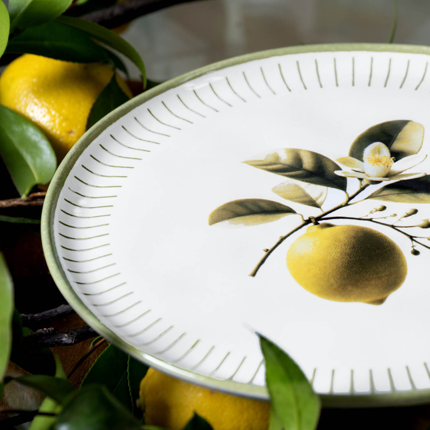 Conjunto com 6 Pratos Raso Bio Lemon Ø27,5cm - Imagem 5