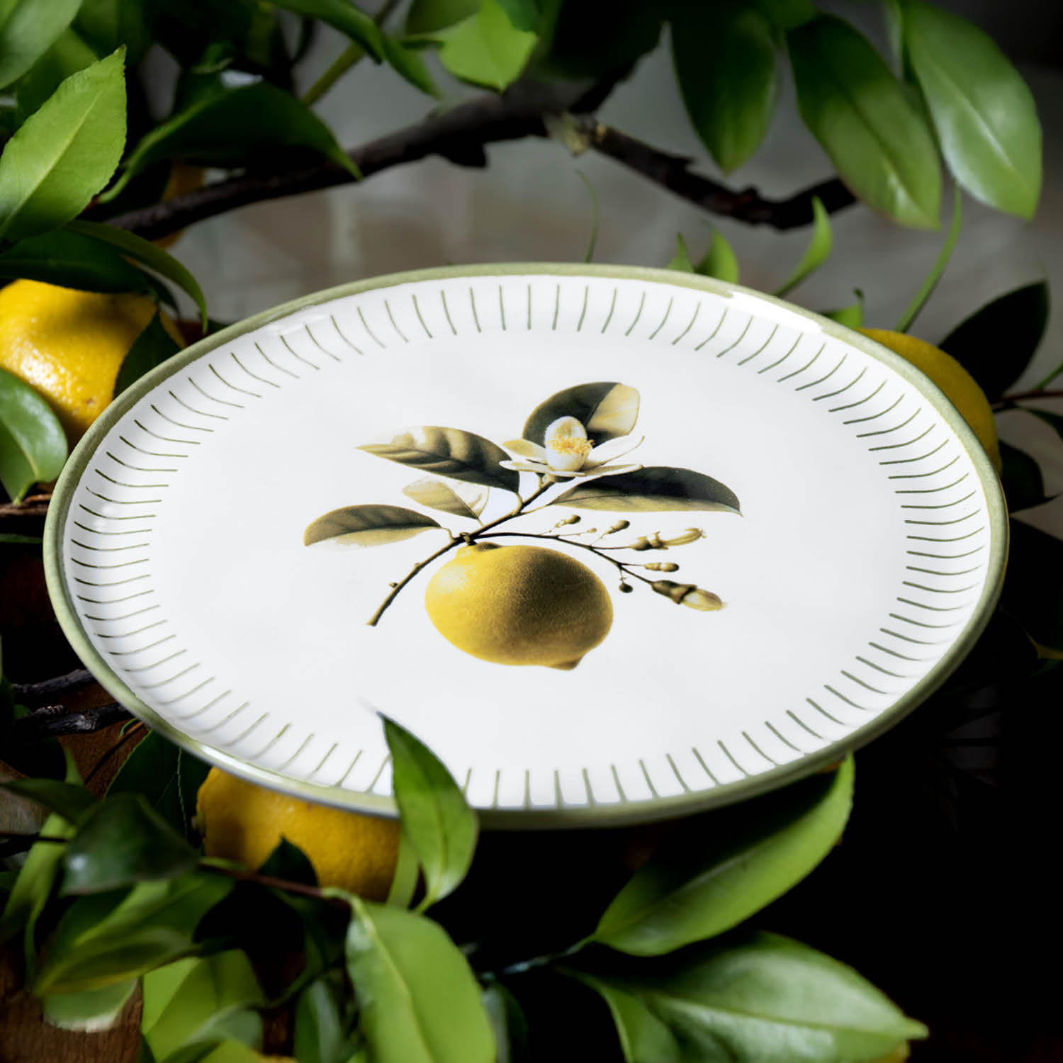 Conjunto com 6 Pratos Raso Bio Lemon Ø27,5cm - Imagem 3