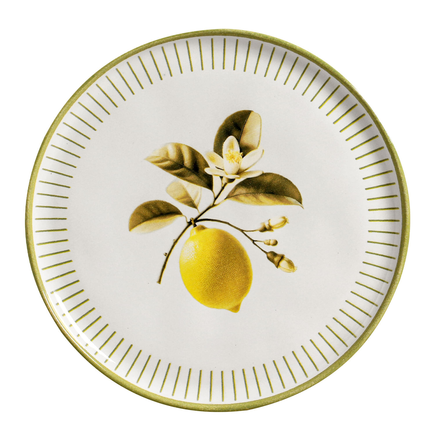Conjunto com 6 Pratos Raso Bio Lemon Ø27,5cm