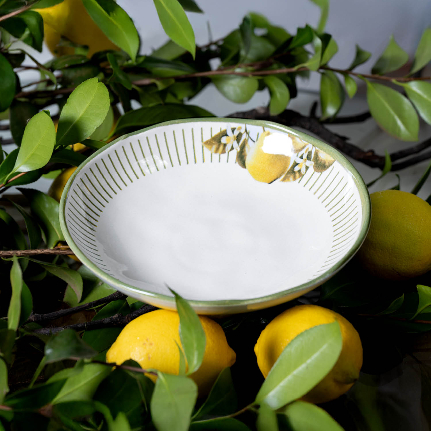 Conjunto com 6 Pratos Fundo Bio Lemon Ø22,5cm 830ml - Imagem 3
