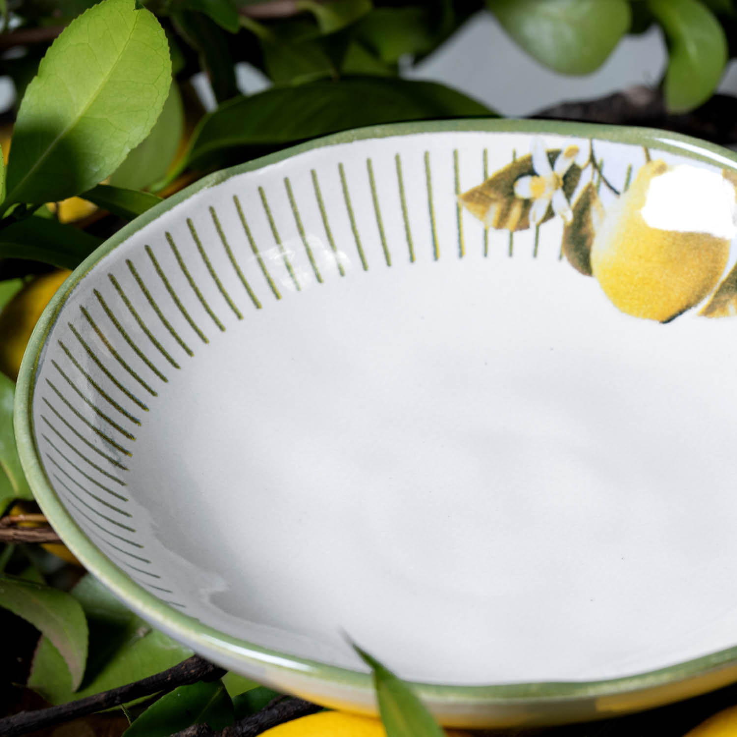 Conjunto com 6 Pratos Fundo Bio Lemon Ø22,5cm 830ml - Imagem 5