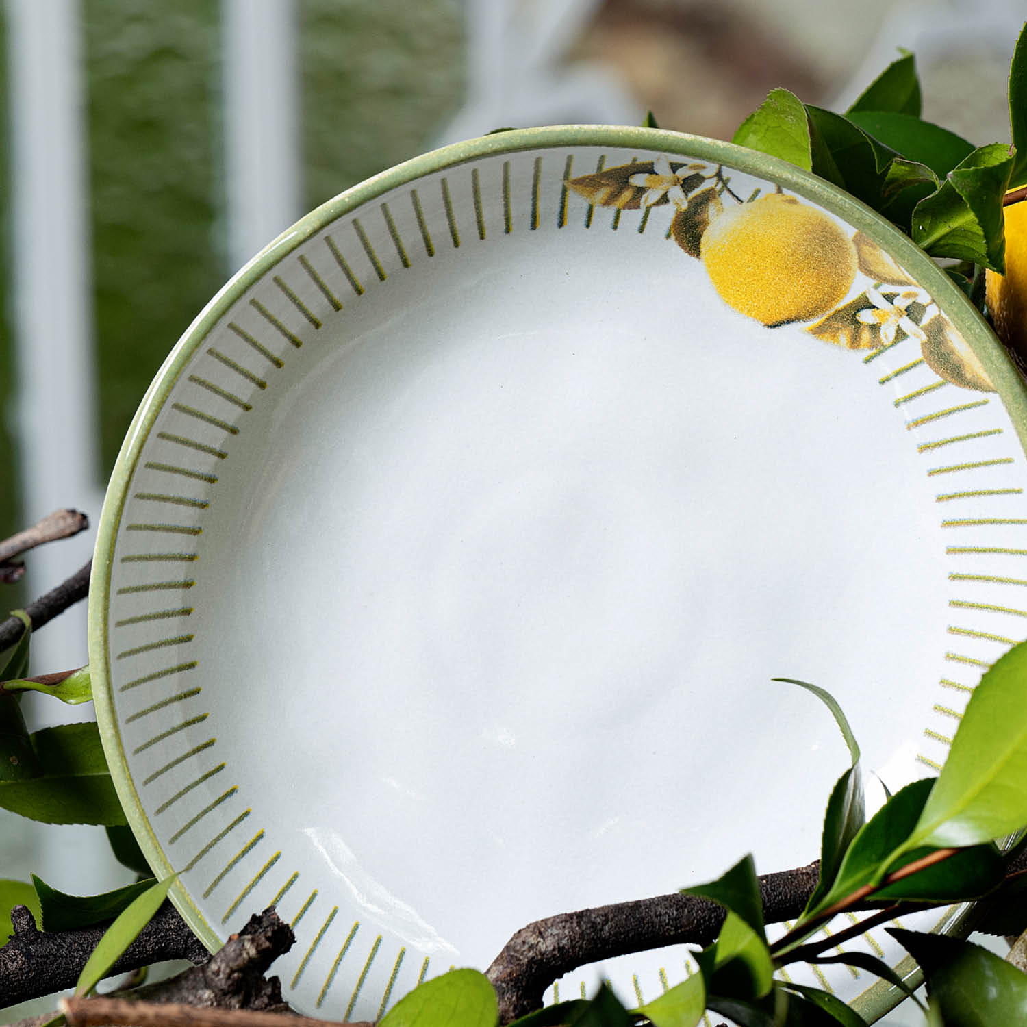 Conjunto com 6 Pratos Fundo Bio Lemon Ø22,5cm 830ml - Imagem 4