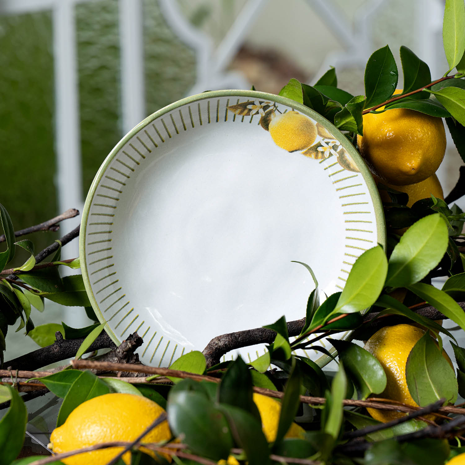 Conjunto com 6 Pratos Fundo Bio Lemon Ø22,5cm 830ml - Imagem 2