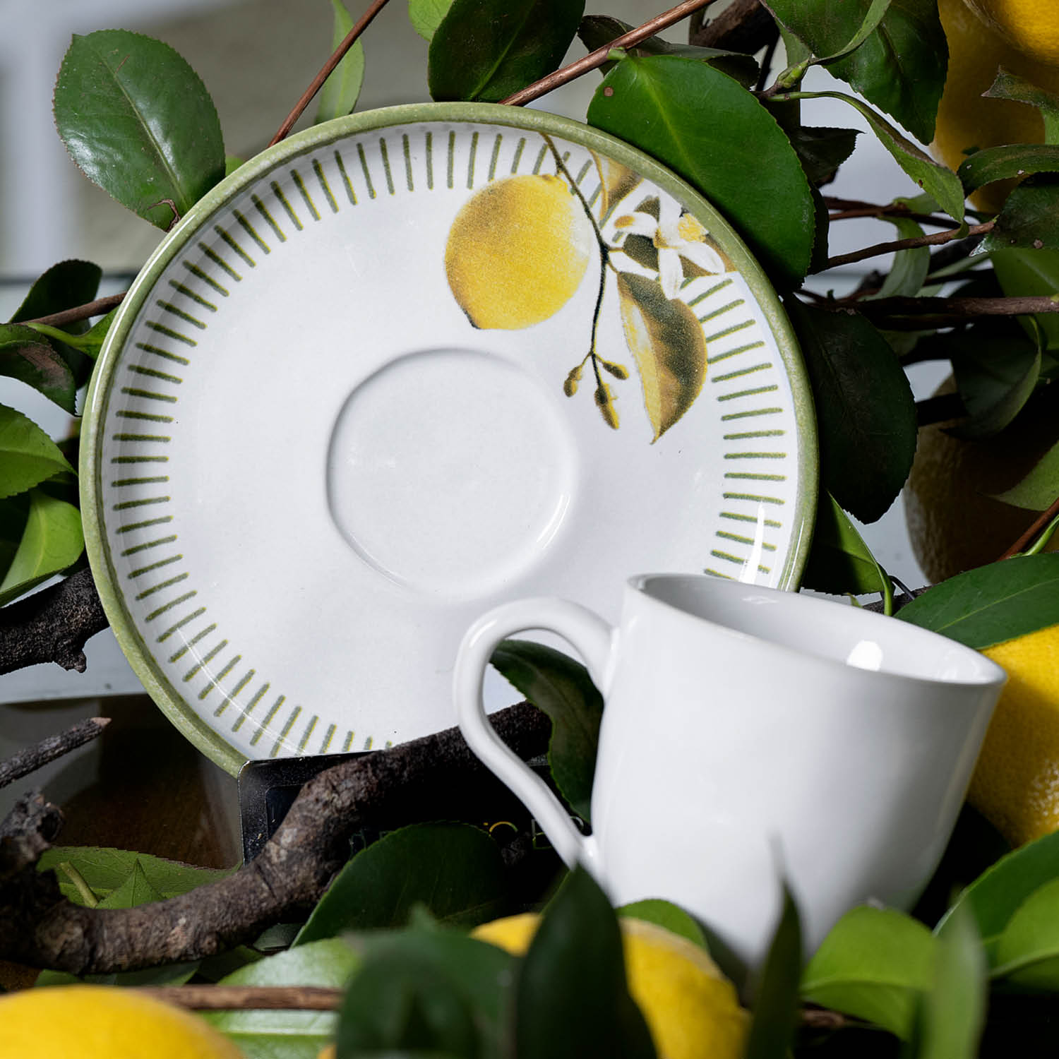 Conjunto com 6 Xícaras De Café com 6 Pires Bio Lemon 120ml - Imagem 4