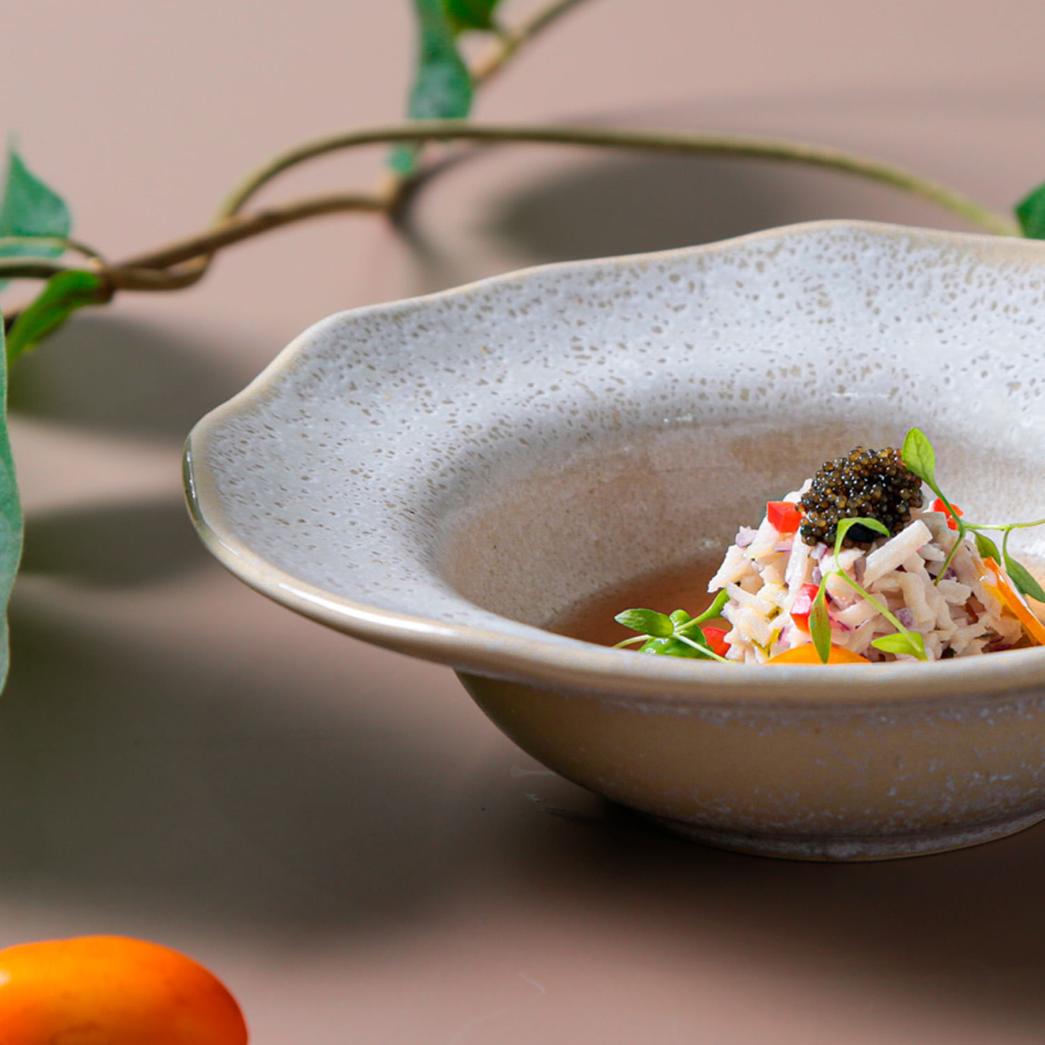 Conjunto com 4 Pratos de Entrada/Sobremesa Orgânico Vanilla Ø19x5,5cm 250ml - Imagem 5