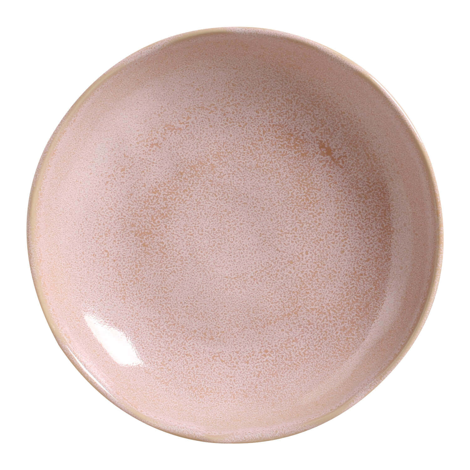 Conjunto com 6 Pratos Fundo Bio Litchi Ø25cm 1100ml