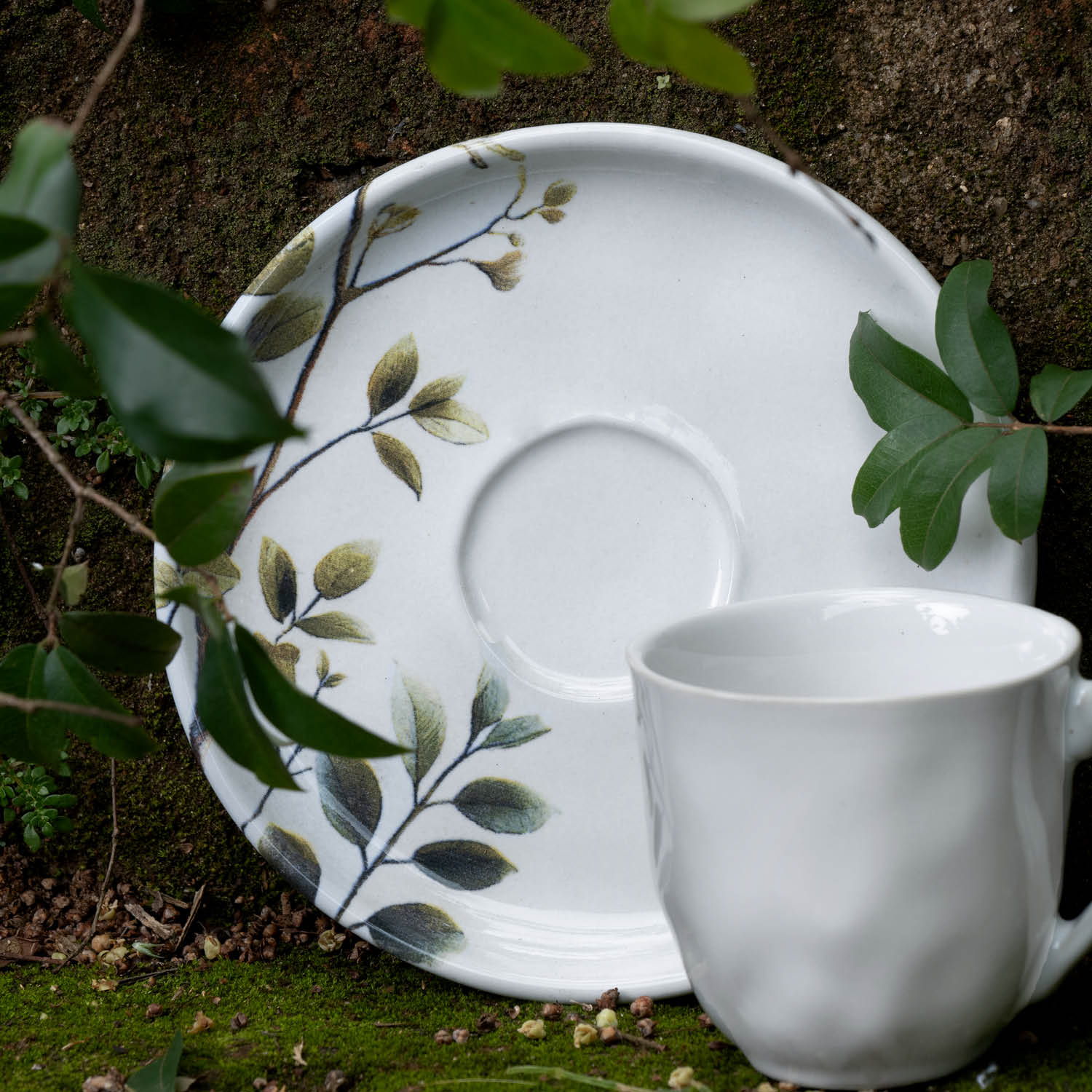 Conjunto com 6 Xícaras De Café com 6 Pires Bio Birdy 120ml - Imagem 5