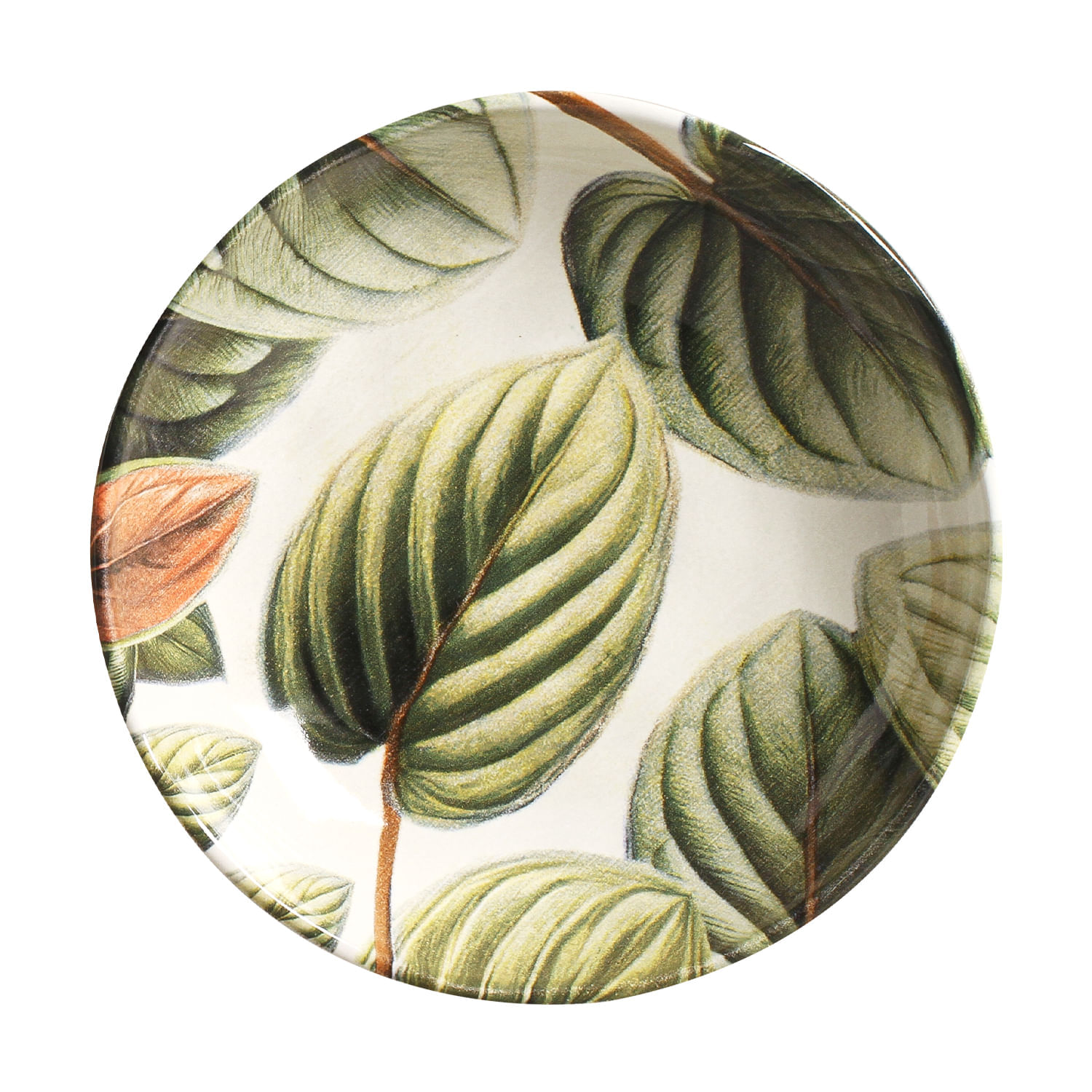 Conjunto com 6 Pratos Fundo Bio Éden Ø22,5cm 830ml