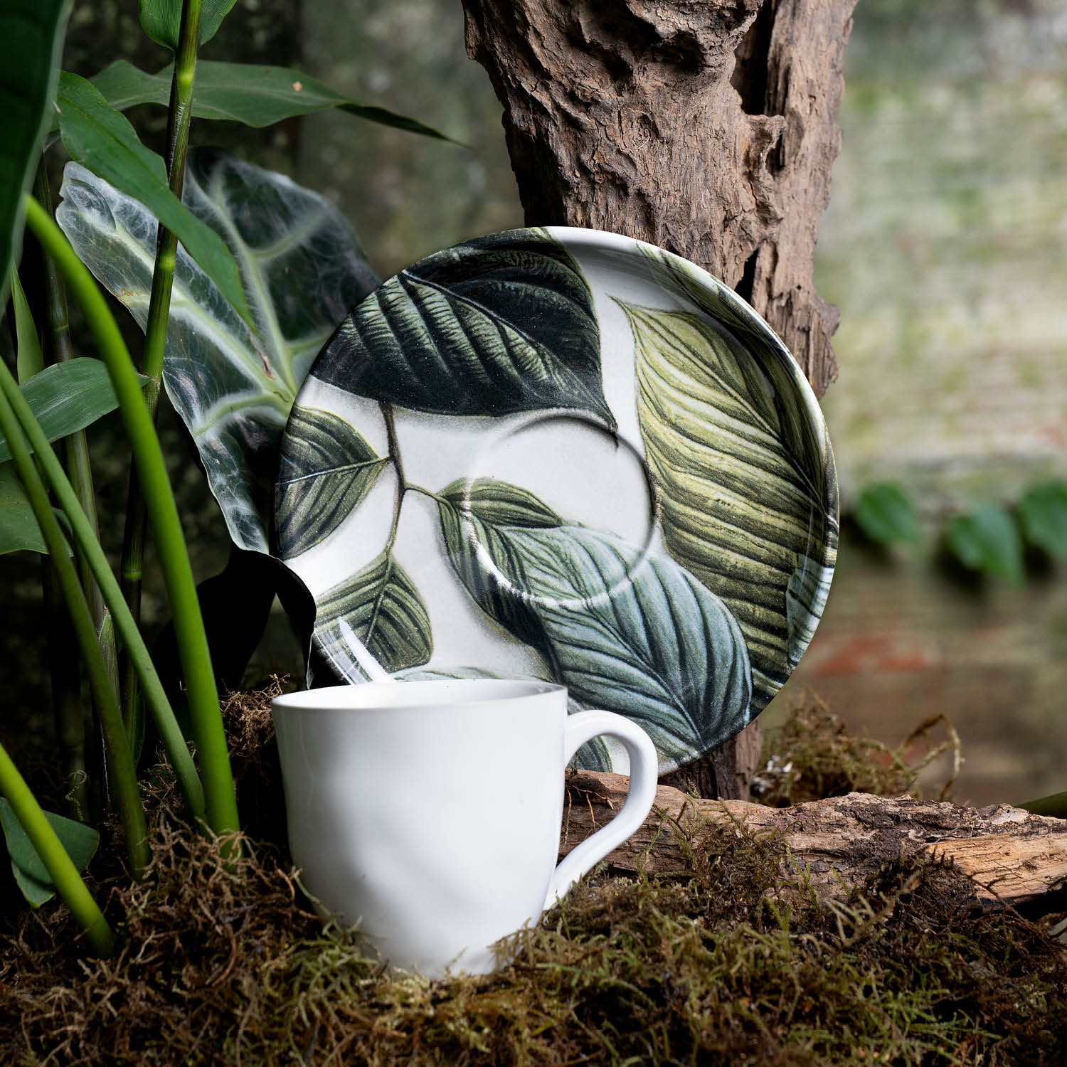 Conjunto com 6 Xícaras De Chá Orgânico 170ml com 6 Pires Bio Éden - Imagem 2