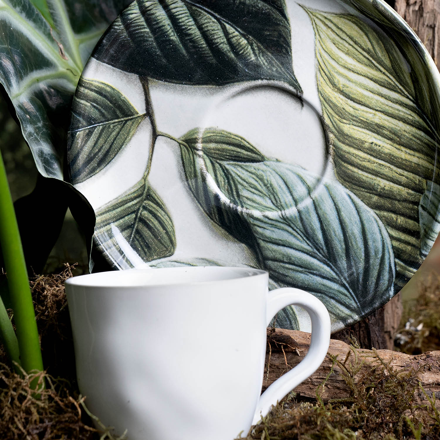 Conjunto com 6 Xícaras De Chá Orgânico 170ml com 6 Pires Bio Éden - Imagem 5