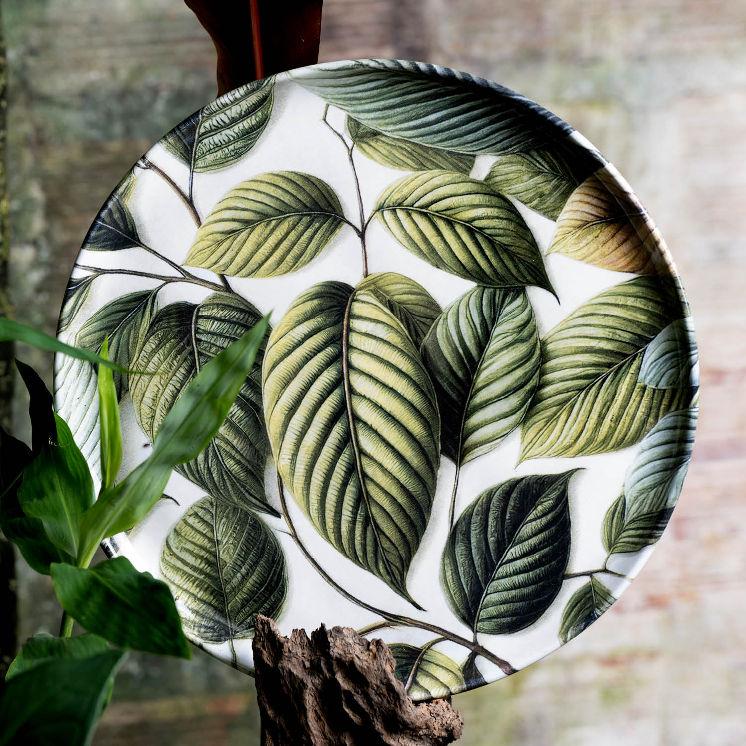 Conjunto com 6 Pratos Raso Bio Éden Ø27,5cm - Imagem 2