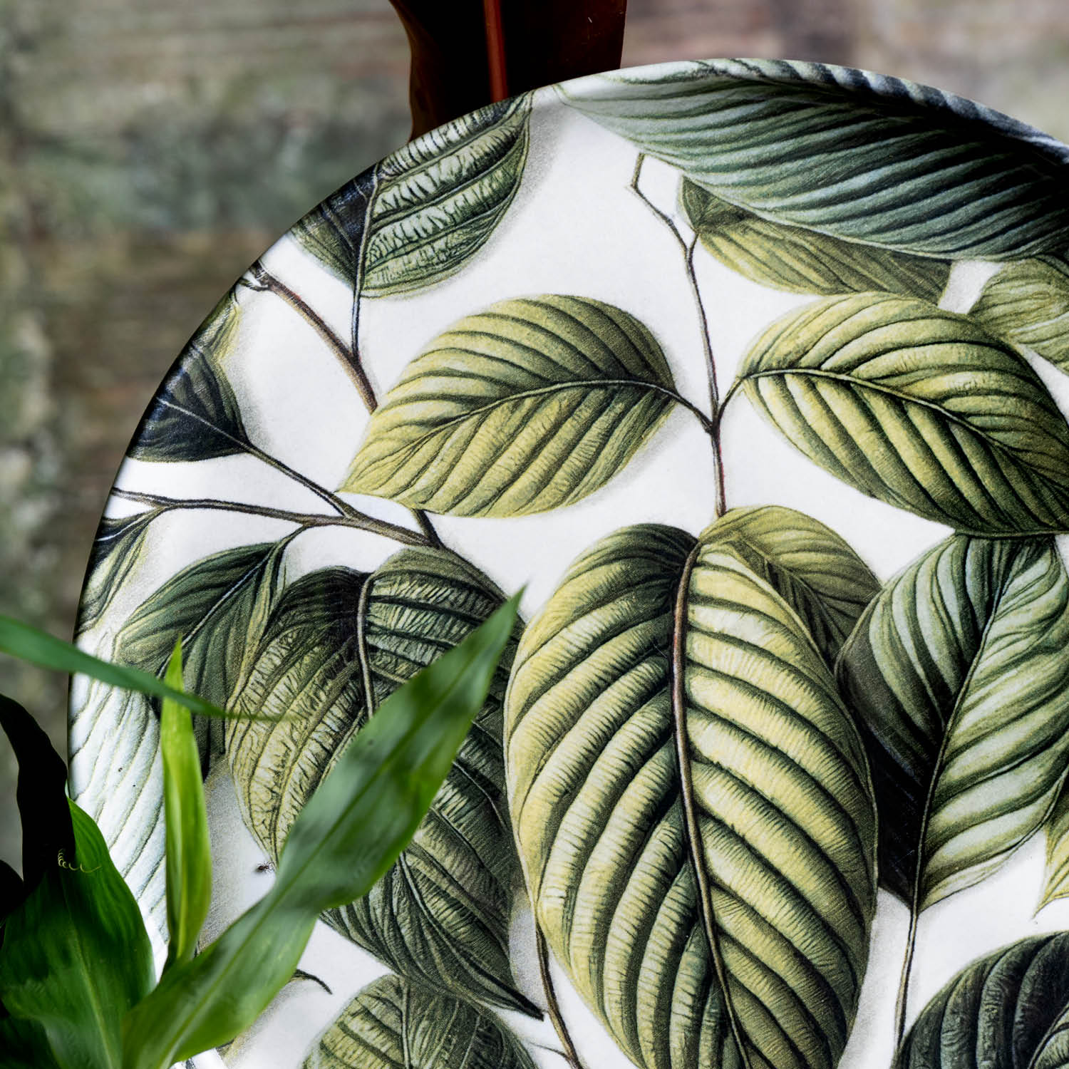 Conjunto com 6 Pratos Raso Bio Éden Ø27,5cm - Imagem 5